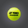 Banh Thùng 60 trái Banh Tập - Yonex Training Tennis Balls (TB-TNGEX)