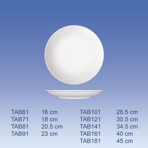 DĨA ẢO 10 - TAB101