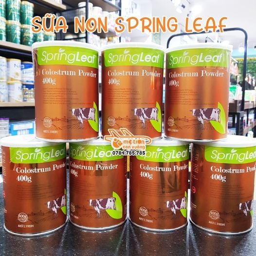 Sữa non Springleaf 400g