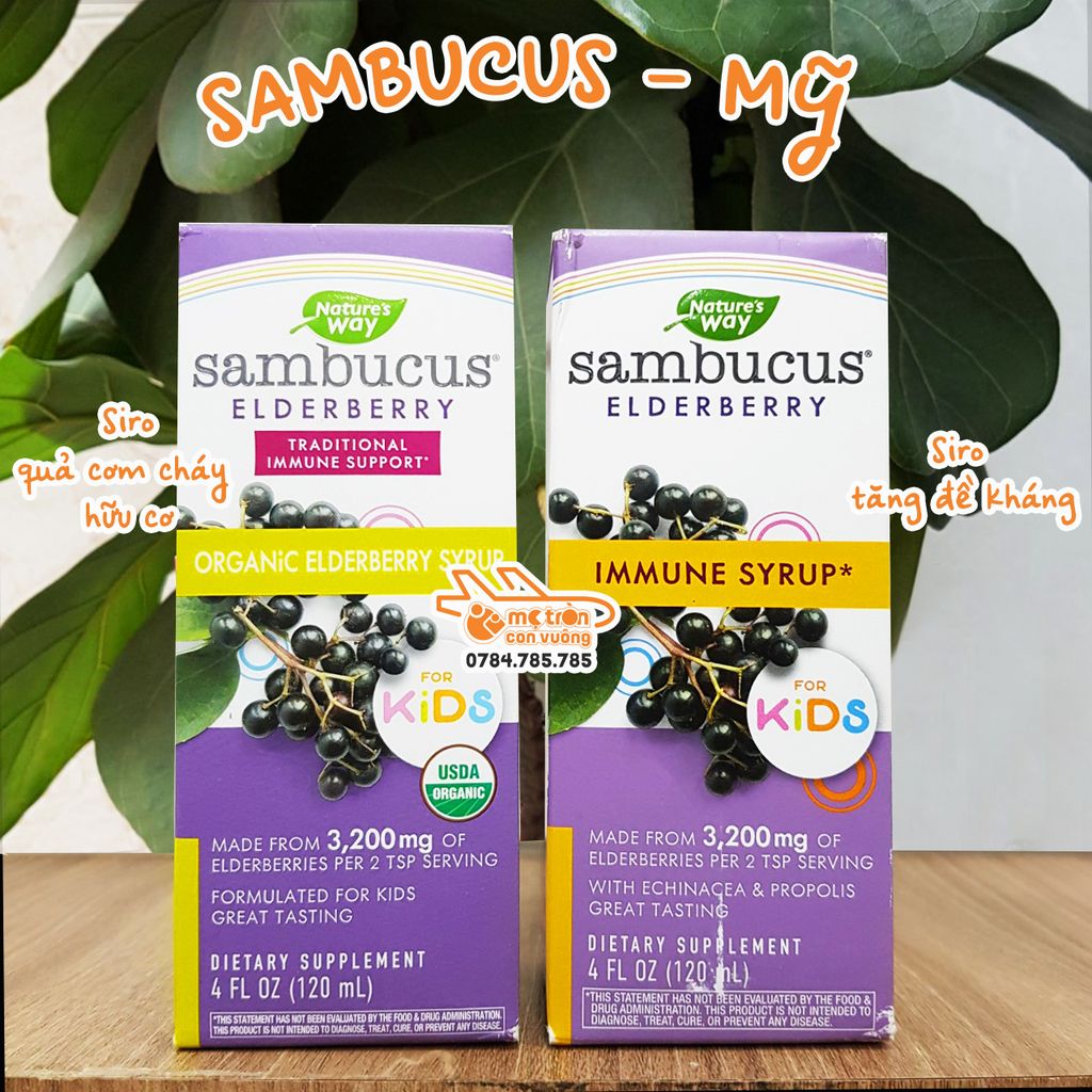 Tăng cường sức đề kháng Sambucus Mỹ - 120ml (1 tuổi +)