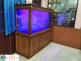 Bể cá rồng mẫu r40