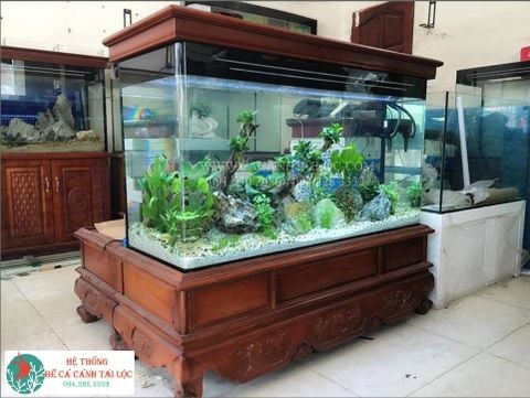 Bể cá chân quỳ Q5