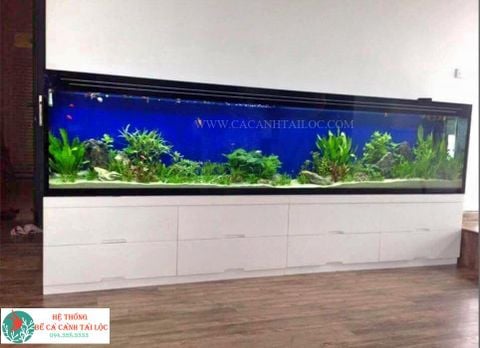 Bể cá chân tủ T19