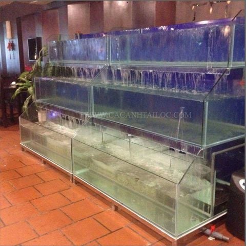 Dàn bể hải sản nhà hàng Mẫu 10