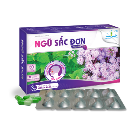 Ngũ Sắc Đơn Hỗ Trợ Điều Trị Viêm Xoang, Viêm Mũi Dị Ứng – Tâm Dược Store