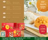 Bánh Trung Thu Bibica 2025 Bánh Truyền Thống