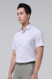  Áo sơ mi casual họa tiết Merriman mã THMCS236 