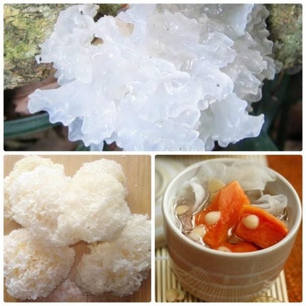 Nấm tuyết -100gr