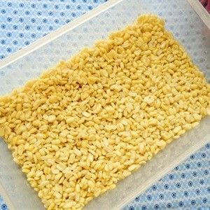 ĐẬU XANH KHÔNG VỎ-500GR