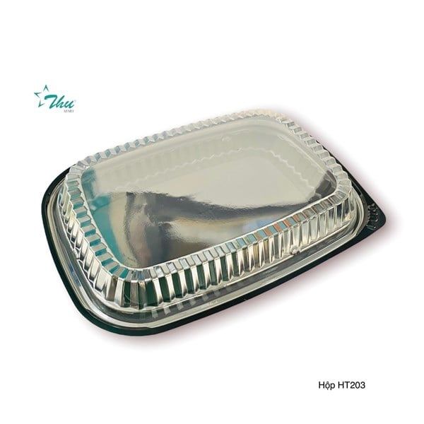 HT203 Hộp Sushi lớn - 300c/T