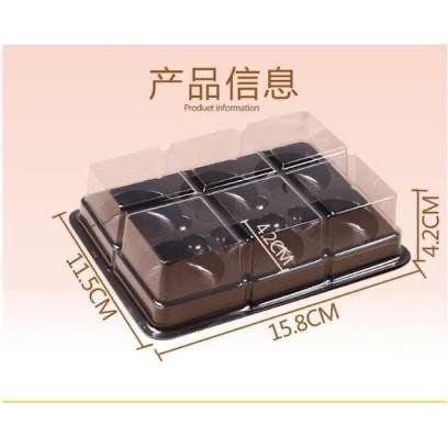 FG335- Hộp đế đen 6 viên scl (1/50/100)