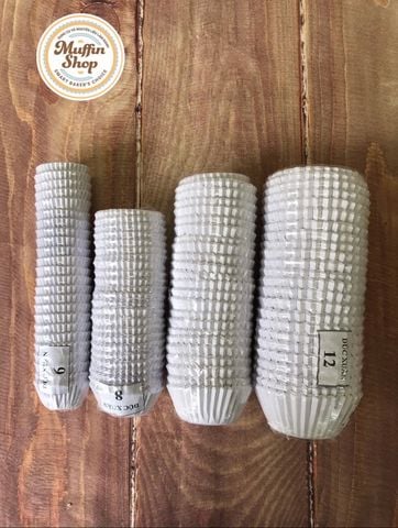 Giấy nhún đẹp VN 12 - 500c