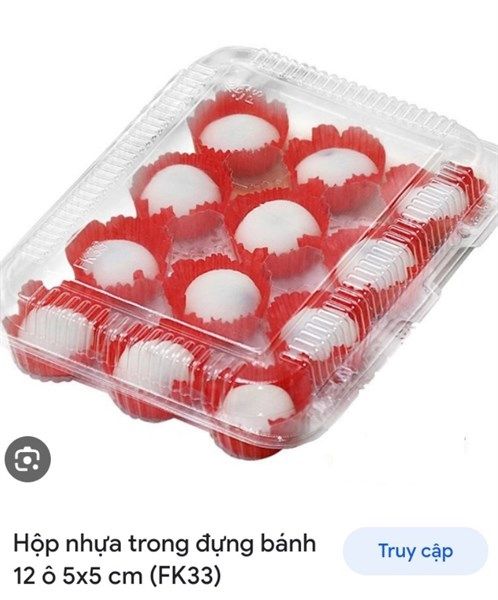 FK33 - Hộp nhựa 12 ô 5x5cm