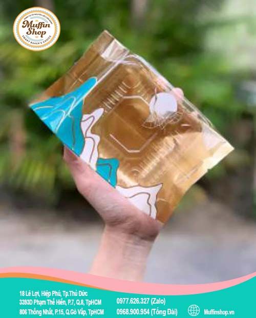 Túi ép TT Sơn size 10 (150g - 200g)