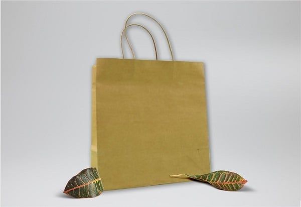 Túi kraft giấy 24x19x11cm