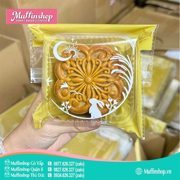 Túi trung thu DÁN 250g size 11