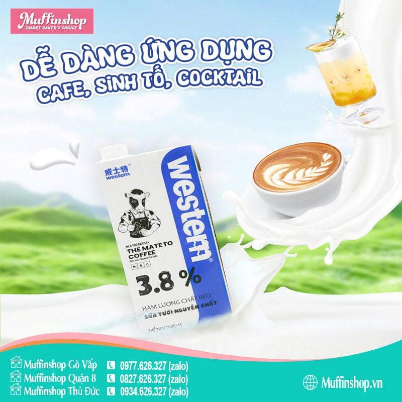 Sữa tươi Western 3.8% - 12h/T