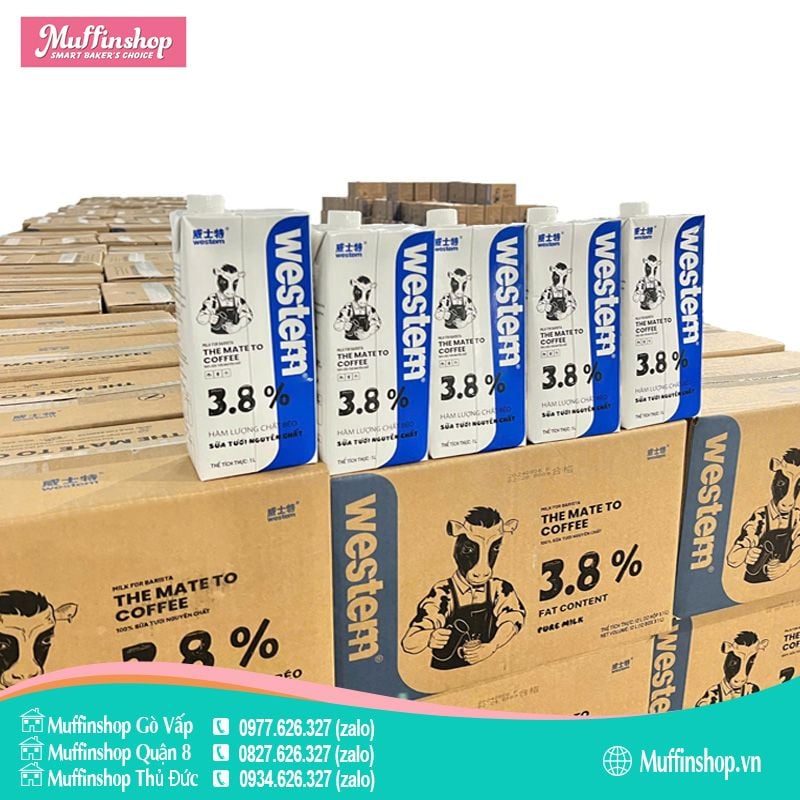Sữa tươi Western 3.8% - 12h/T