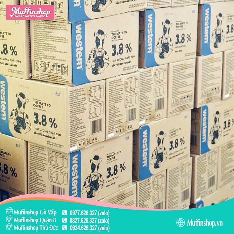 Sữa tươi Western 3.8% - 12h/T