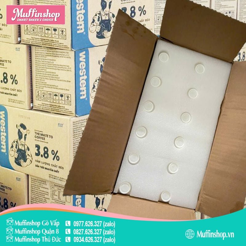 Sữa tươi Western 3.8% - 12h/T