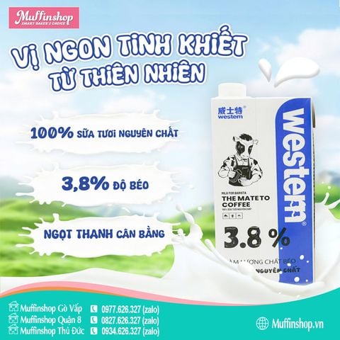 Sữa tươi Western 3.8% - 12h/T