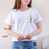 Áo thun thêu thời trang A268 size L