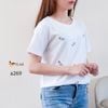 Áo thun thêu thời trang A269 size  M