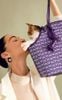 Túi Tote Bag nữ kiêm giỏ xách thú cưng Nucelle dễ thương thời trang đi làm dạo phố ViAnh Store 1172162