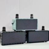 Loa Karaoke Bluetooth 20W Với Hai Không Dây Mic