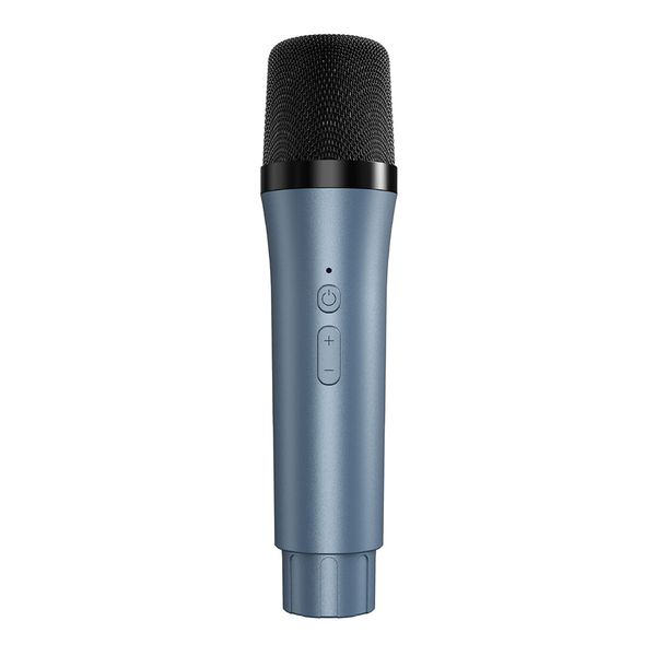 Loa Bluetooth Kèm Mic Karaoke Không Dây 30W P10