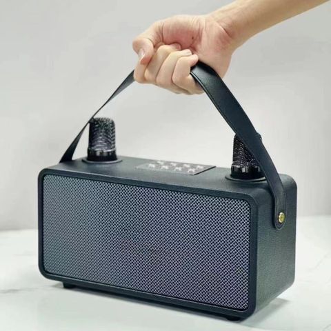 Loa Karaoke Bluetooth 20W Với Hai Không Dây Mic