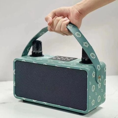 Loa Karaoke Bluetooth 20W Với Hai Không Dây Mic