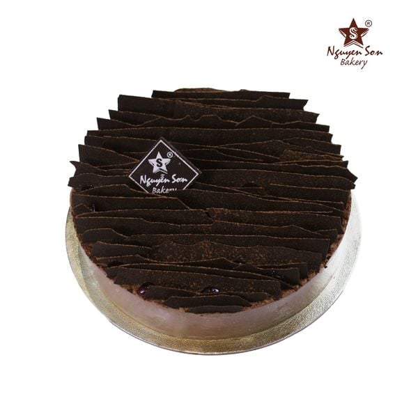  Chocolate & Strawberry charlotte 