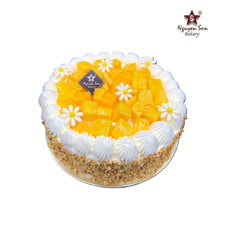  Mango Fruit Cake 