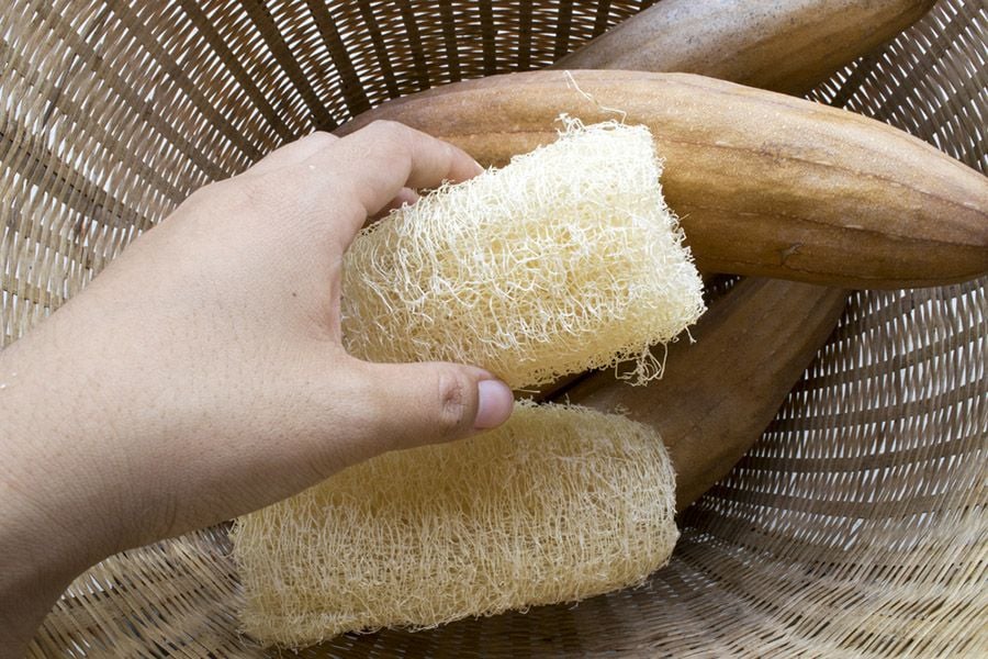 Gửi Xơ Mướp Qua Colombia – Nhanh Chóng, An Toàn Và Thuận Tiện