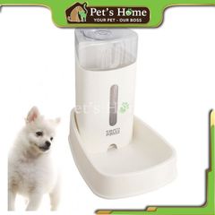 Bình nước và thức ăn tự động Kimpets 3,8L