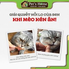 Bánh thưởng Natural Core snack thịt gà, cá ngừ, thịt gà phô mai sấy dẻo cho mèo Hàn Quốc túi 40g