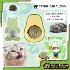 Viên catnip dán tường cho mèo