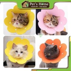 Vòng cổ chống liếm hình hoa