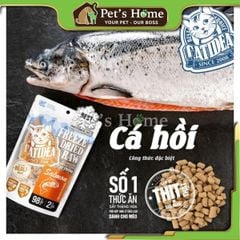 Thịt tươi sấy thăng hoa Catidea Freeze Dried Raw 100g