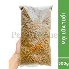 Hạt Natural Core EcoC1 [800g - 500g] thức ăn đa đạm cho mèo mọi lứa tuổi Hàn Quốc