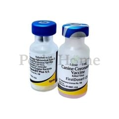 Vaccine mèo 4 bệnh