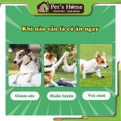 Xương nơ DoggyMan Chewell, da bò kẹp thịt gà cho chó cưng