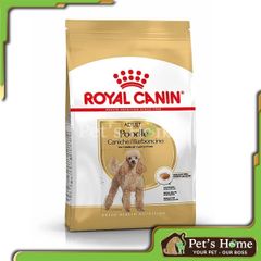 Hạt Royal Canin Poodle Adult - Thức ăn hạt cho giống chó Poodle trên 10 tháng tuổi