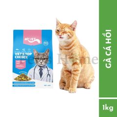 Hạt cho mèo Mr Vet Holistic 1kg