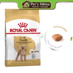 Hạt Royal Canin Poodle Adult - Thức ăn hạt cho giống chó Poodle trên 10 tháng tuổi