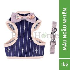 Set đeo ngực kiểu áo vest Hàn Quốc