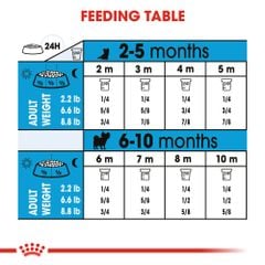 Hạt Royal Canin Xsmall Puppy cho giống chó siêu nhỏ dưới 10 tháng tuổi