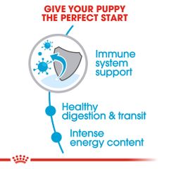 Hạt Royal Canin Xsmall Puppy cho giống chó siêu nhỏ dưới 10 tháng tuổi