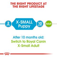 Hạt Royal Canin Xsmall Puppy cho giống chó siêu nhỏ dưới 10 tháng tuổi